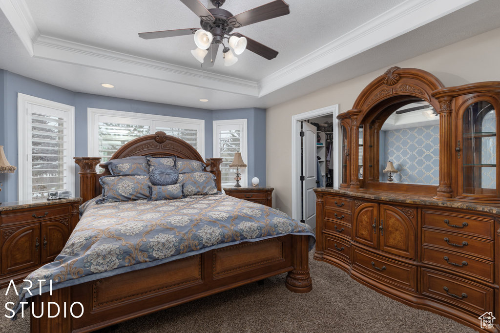 Carpeted bedroom featuring crown molding, ceiling fan, a raised ceiling, a spacious closet, and a closet