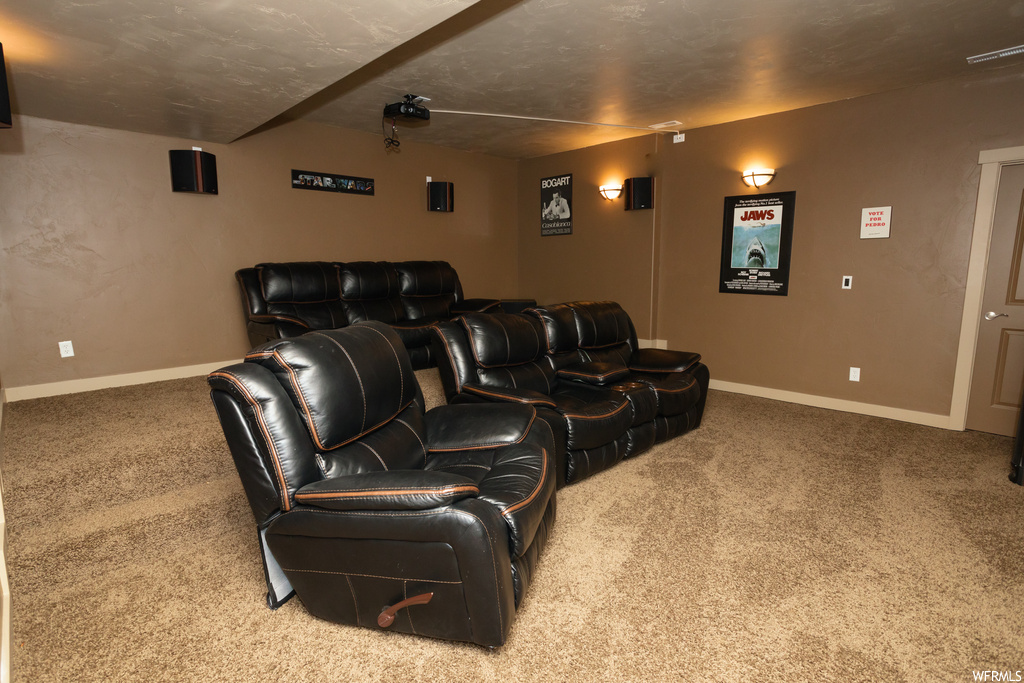 Cinema room featuring carpet