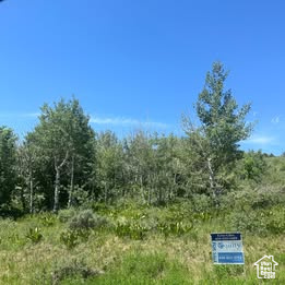 View of wooded area