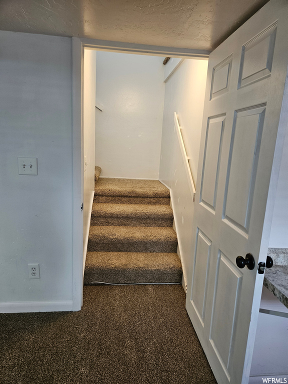 Stairs with dark carpet