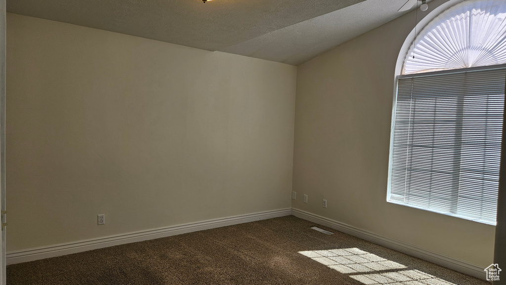 Empty room with light carpet, a textured ceiling, and vaulted ceiling
