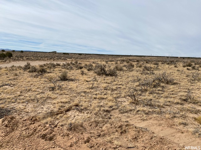 View of local wilderness