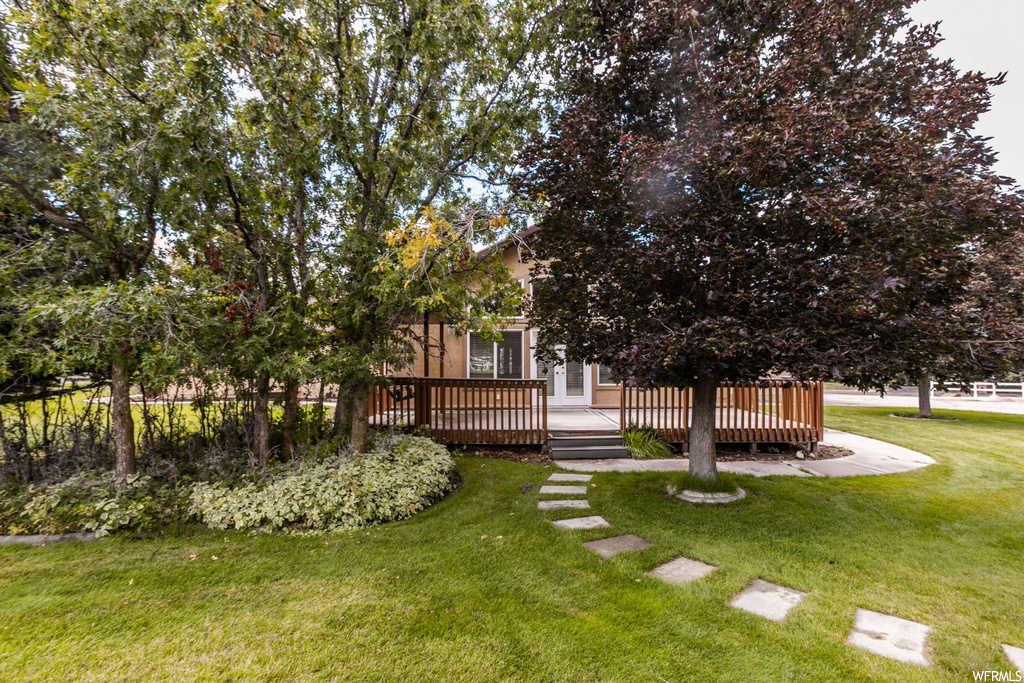 View of yard featuring a deck