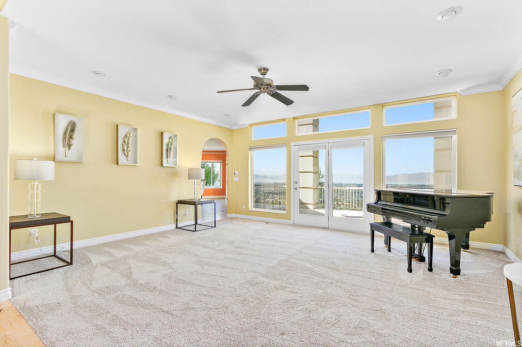 Misc room with a wealth of natural light, light carpet, crown molding, and ceiling fan