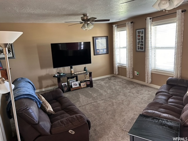 Living room with ceiling fan, carpet, a healthy amount of sunlight, and a textured ceiling