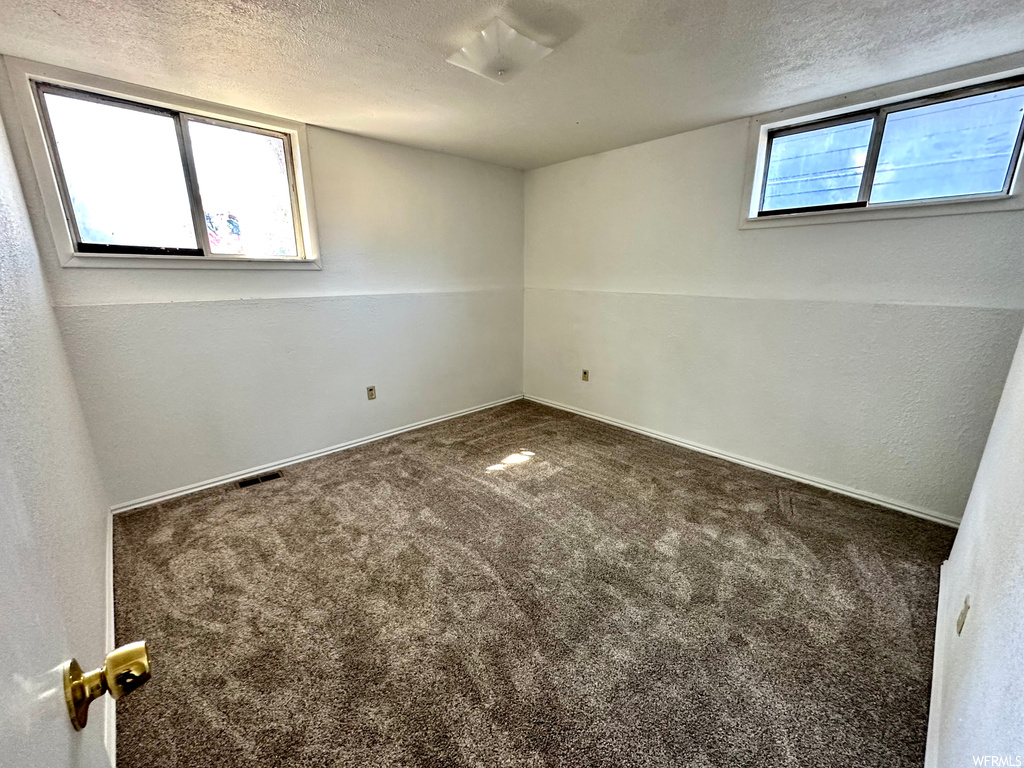 Unfurnished room featuring a textured ceiling, carpet, and a healthy amount of sunlight