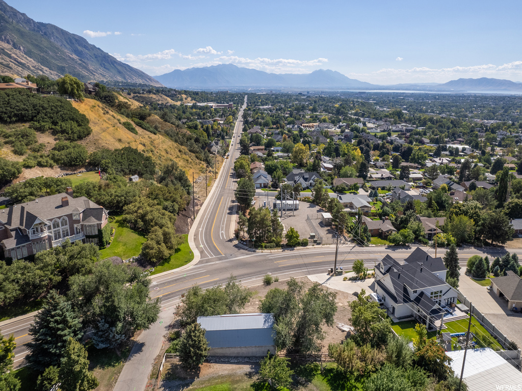 View of bird's eye view