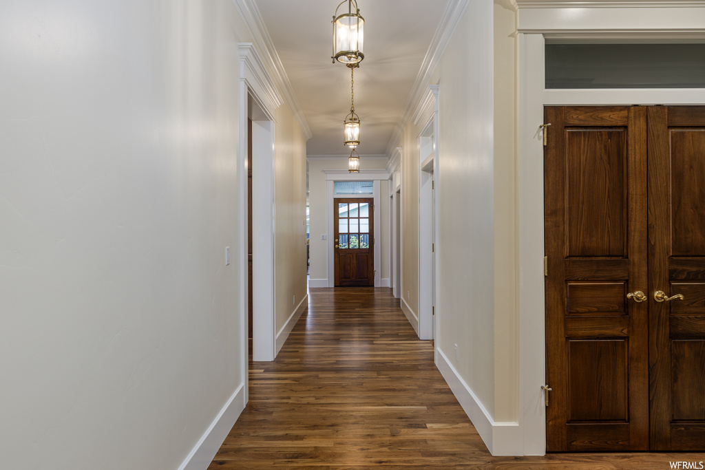 Corridor with ornamental molding and dark hardwood floors