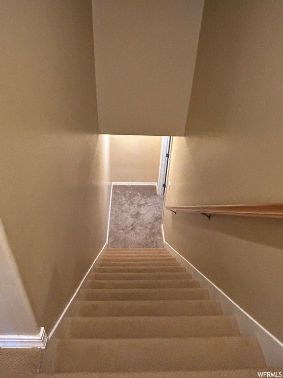 Staircase with dark colored carpet