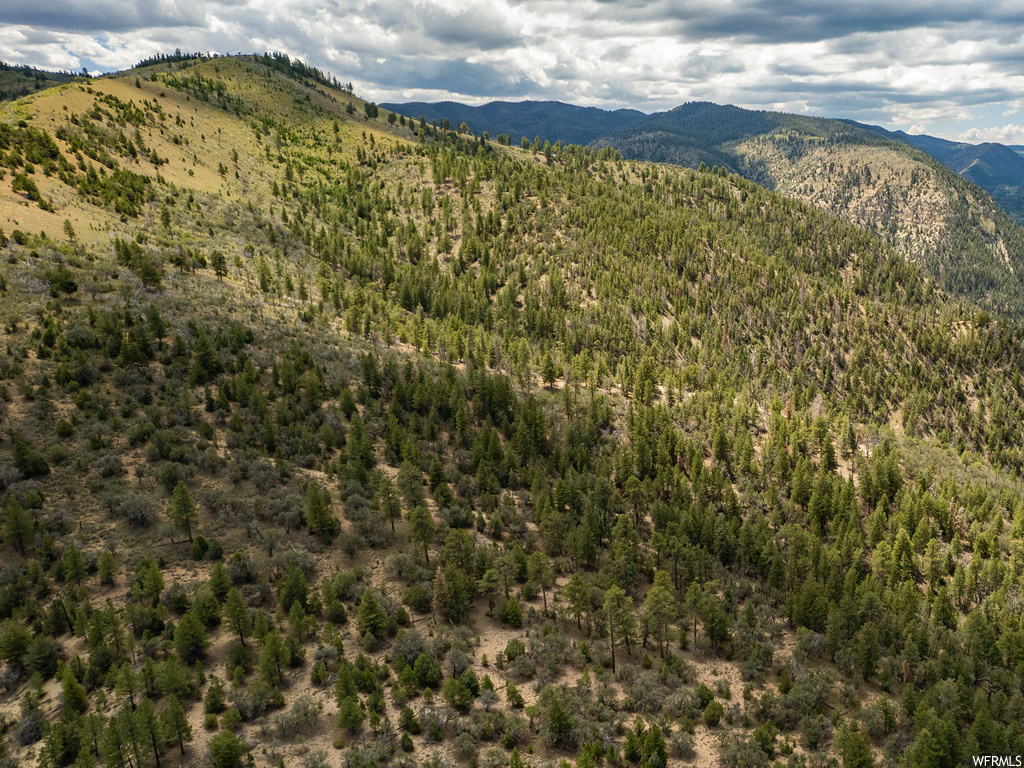 View of mountain view