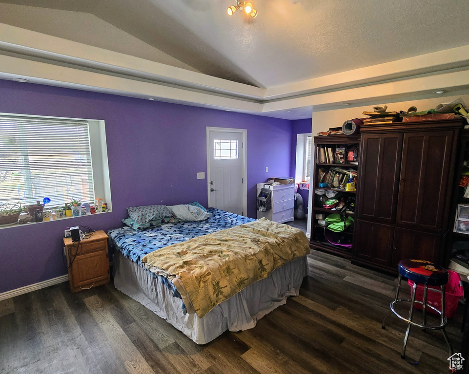 Bedroom featuring vaulted ceiling and dark hardwood / wood-style flooring