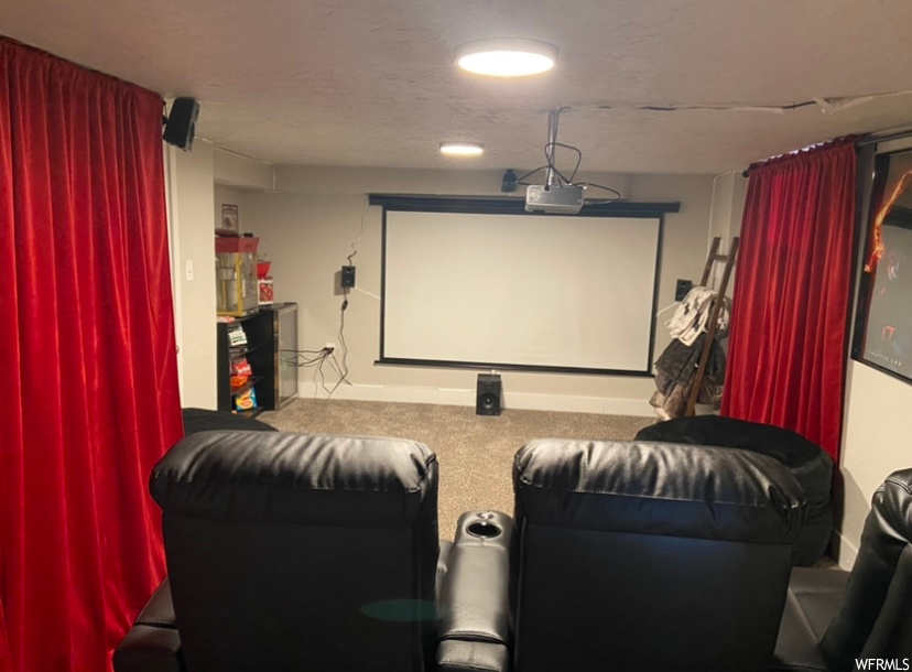 Cinema room with carpet floors