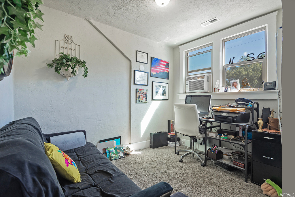 Office with carpet floors and a textured ceiling