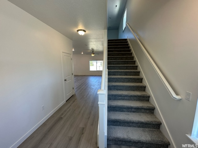 Stairs featuring dark hardwood floors