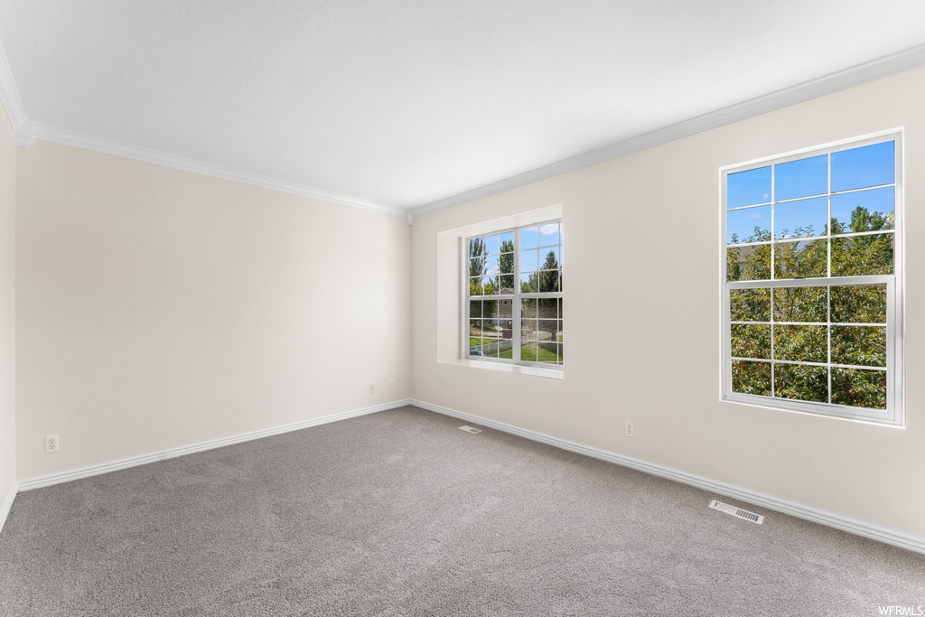 Unfurnished room featuring crown molding and light carpet