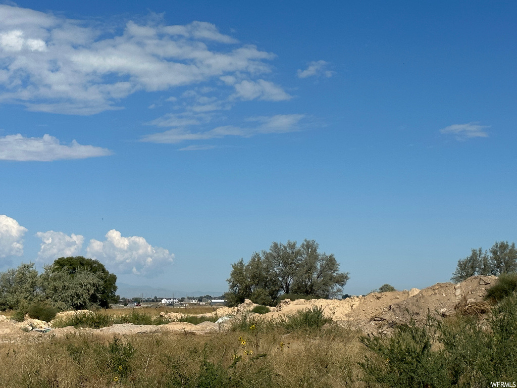 View of local wilderness