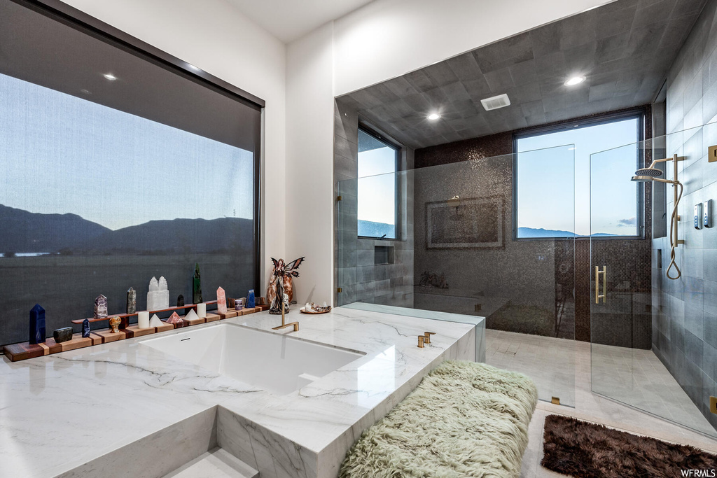 Bathroom with a wealth of natural light, tile floors, and separate shower and tub enclosures