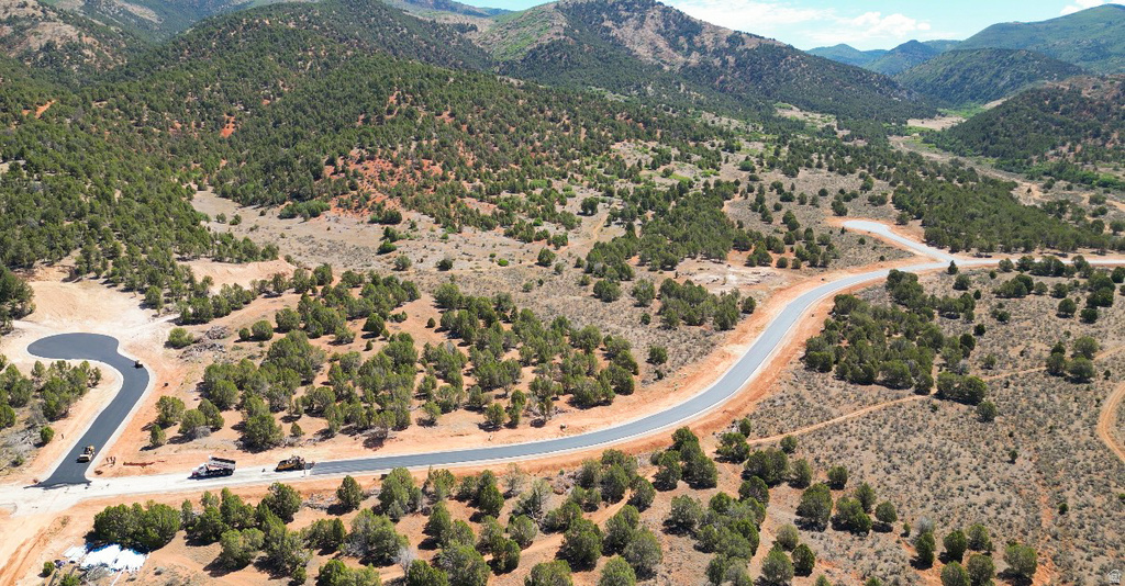 Winding paved road with a cul-de-sac, surrounded by natural scrubland and numerous evergreen trees