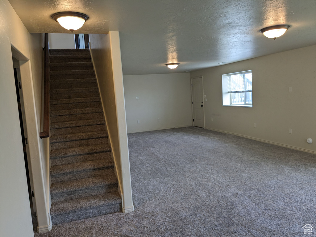 Stairs with carpet floors and a textured ceiling