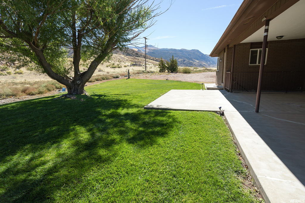 View of yard with a patio and a mountain view