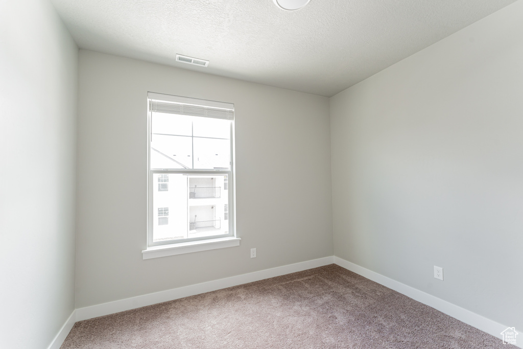 Empty room featuring plenty of natural light, carpet, and a textured ceiling