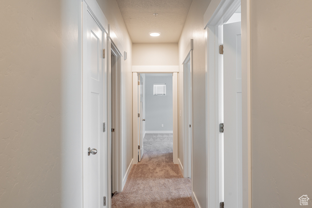 Hall with light colored carpet