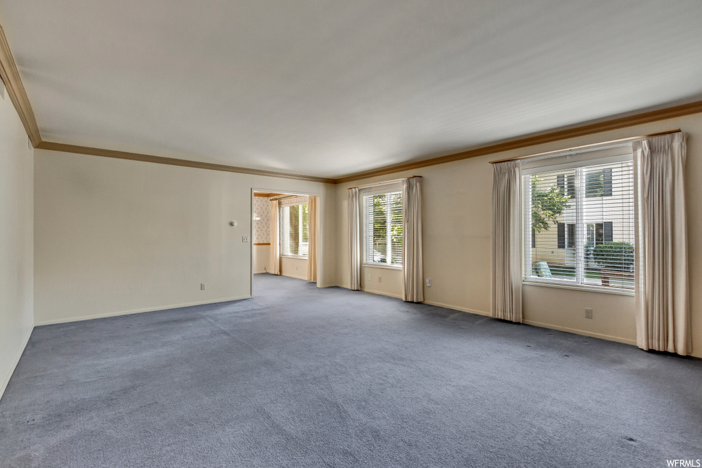 Unfurnished room with a wealth of natural light, light carpet, and ornamental molding