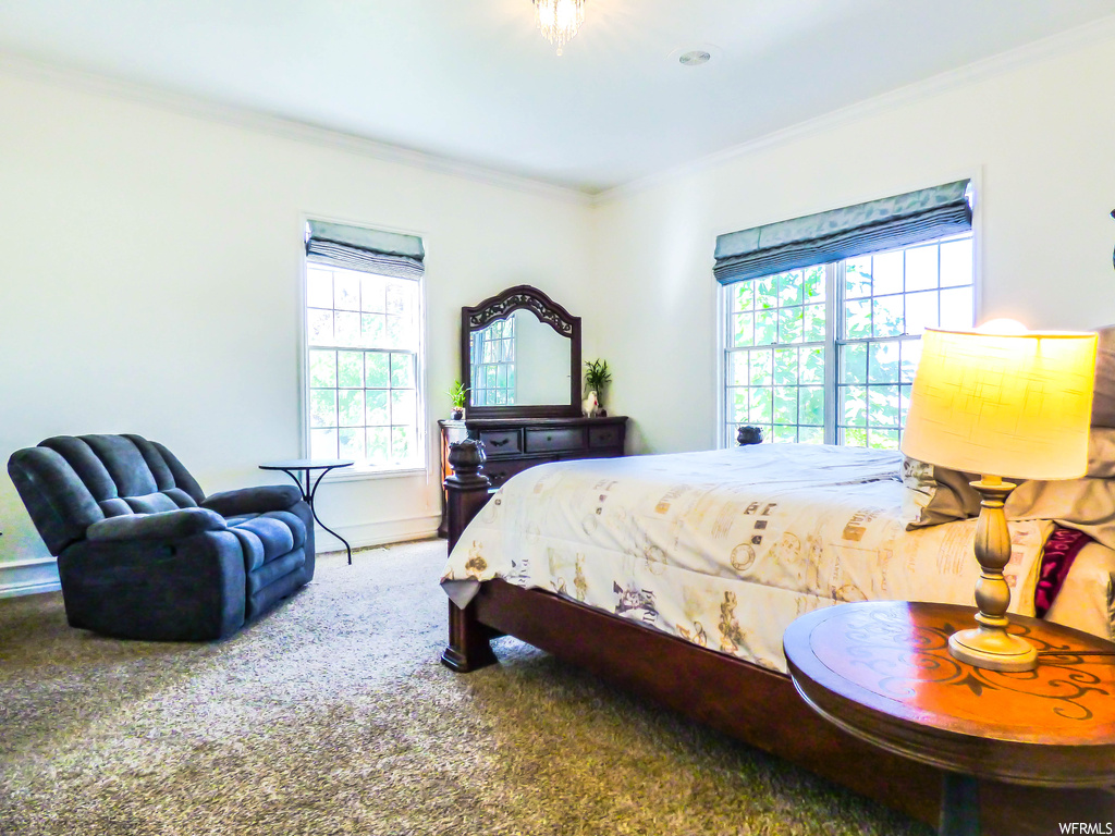 Bedroom featuring crown molding and carpet flooring