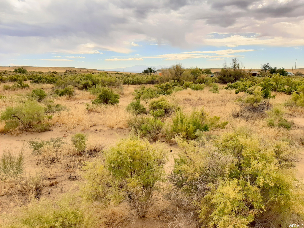 View of local wilderness