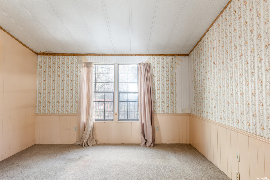 Carpeted spare room with crown molding and a wealth of natural light