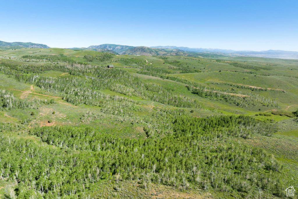 Bird's eye view with a mountain view