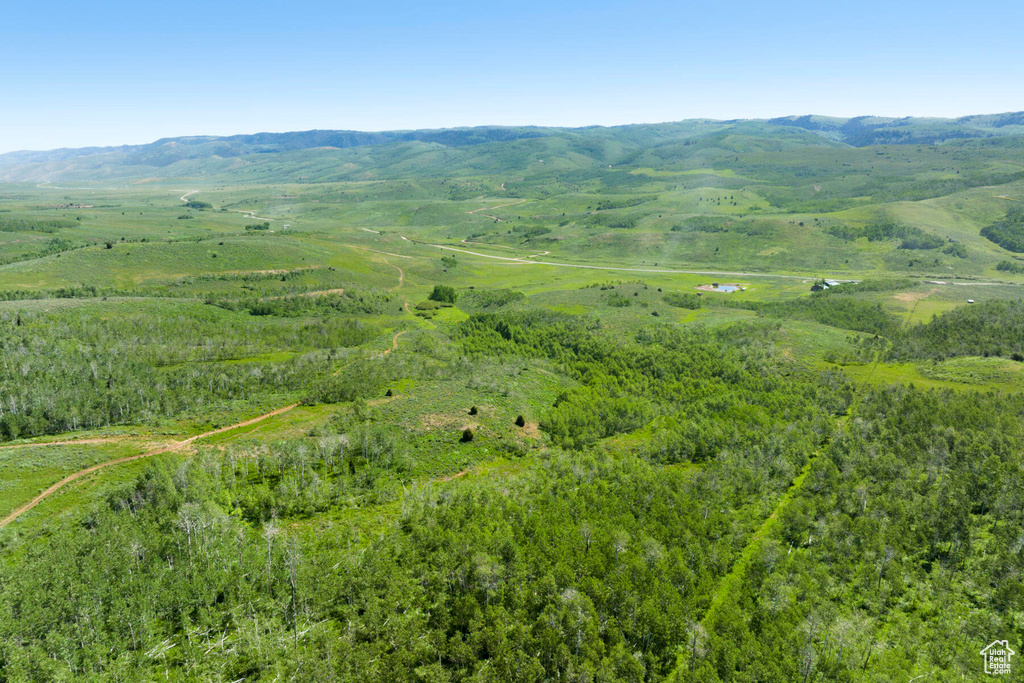 Drone / aerial view with a mountain view