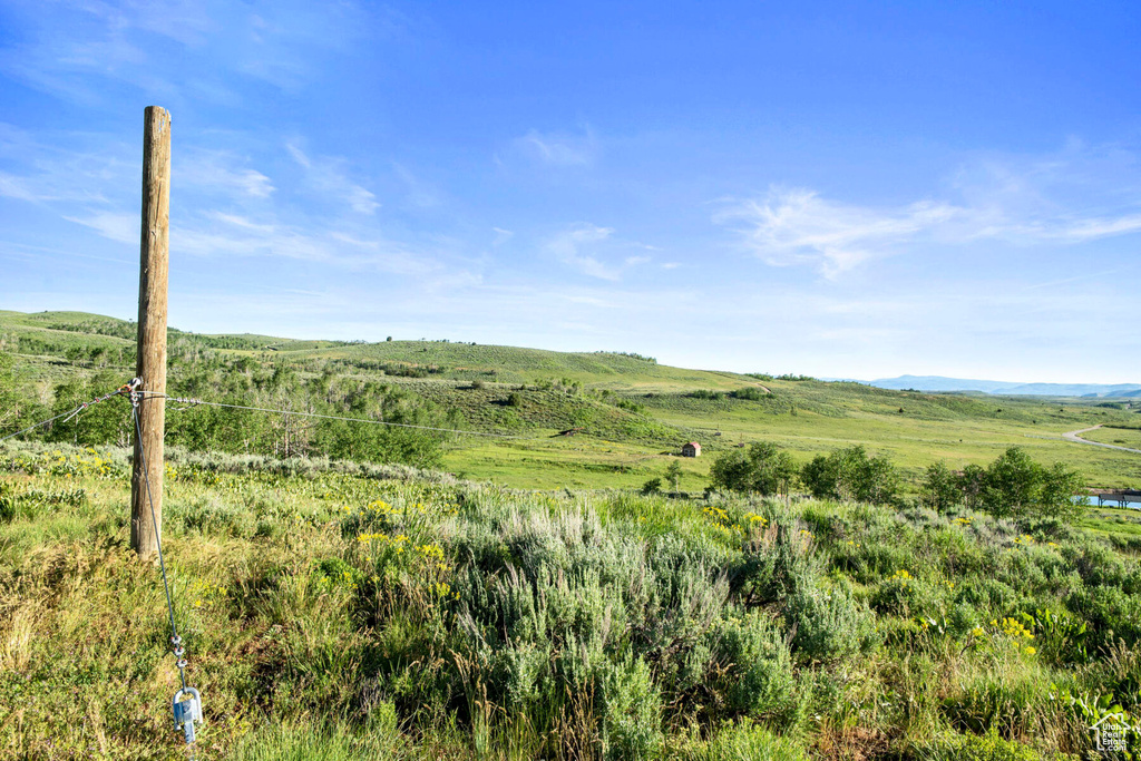 View of local wilderness with a rural view