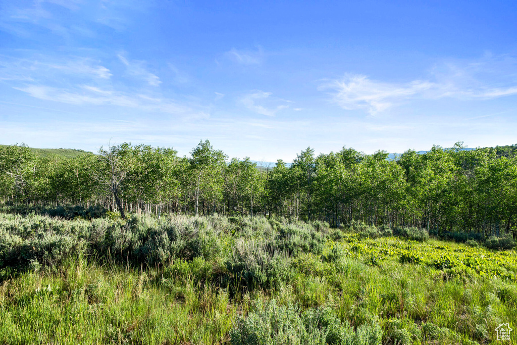 View of nature