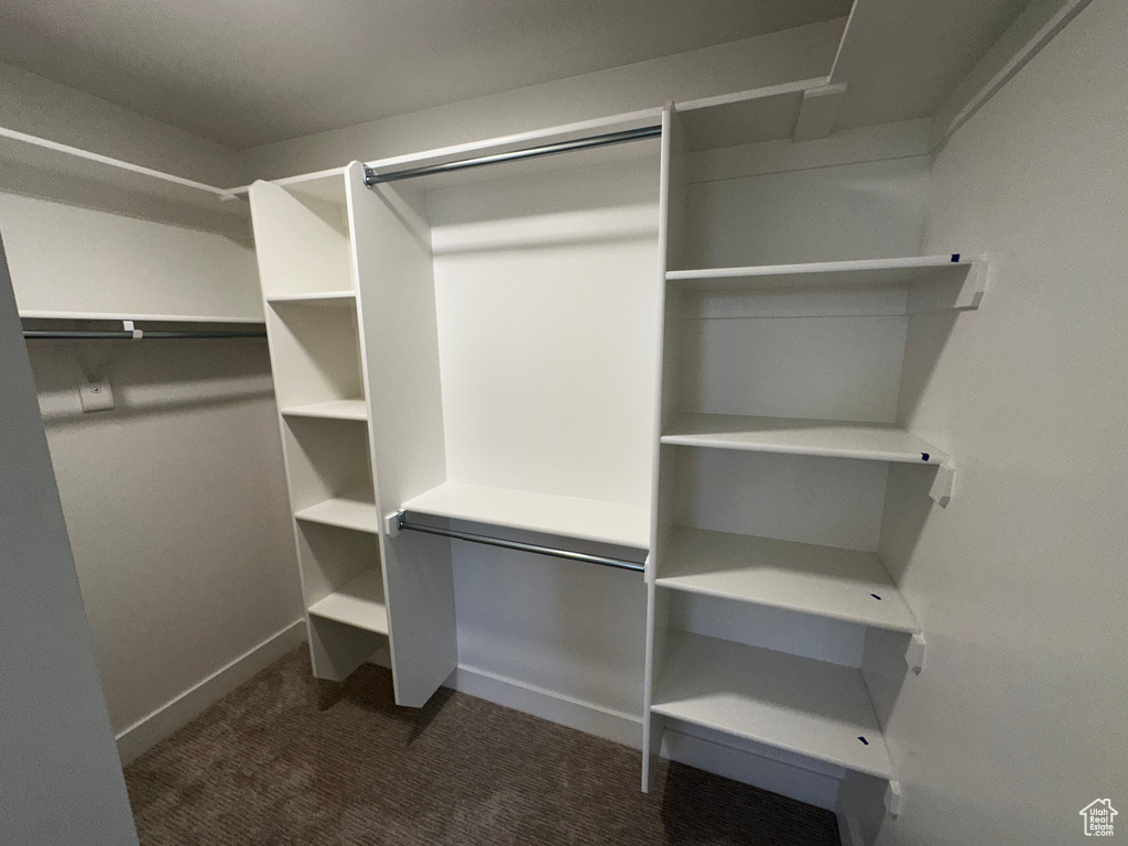 Walk in closet with dark colored carpet