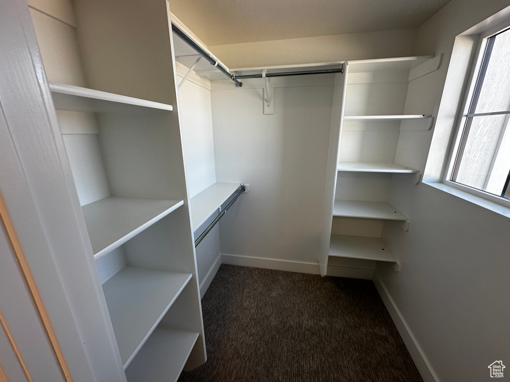 Spacious closet with dark colored carpet