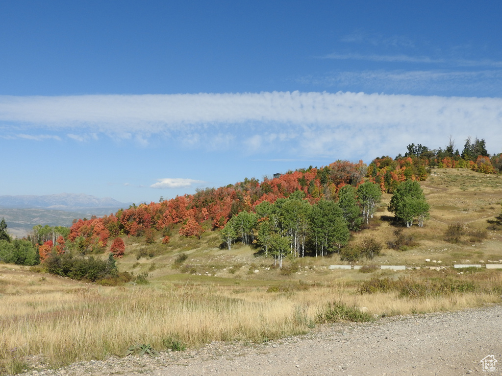 14 E MAIN ROAD DR Fairview, UT 84629