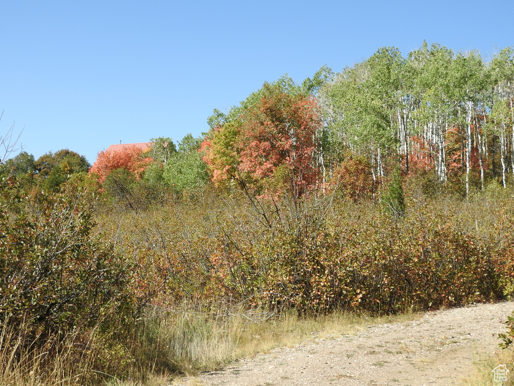 14 E MAIN ROAD DR Fairview, UT 84629