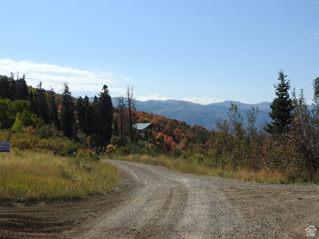 14 E MAIN ROAD DR Fairview, UT 84629