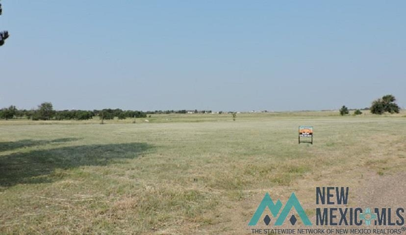 Photo #3