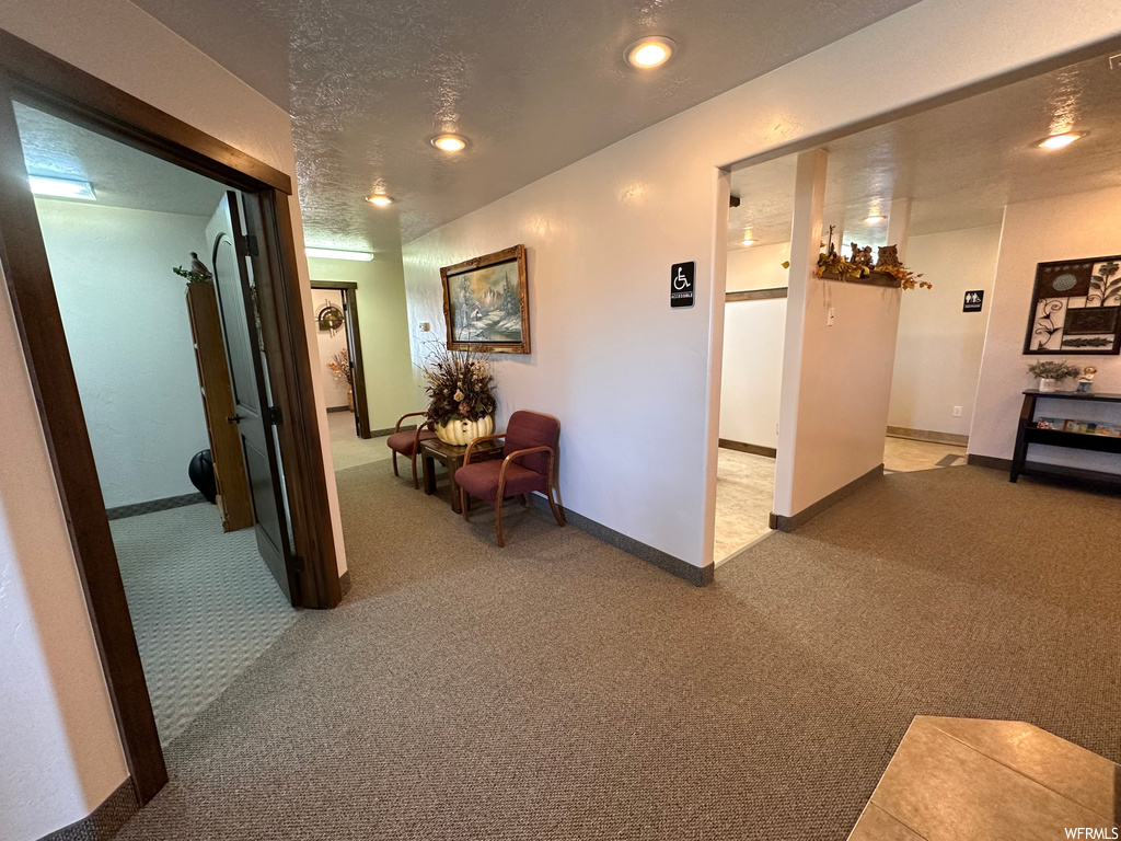 Hallway featuring a textured ceiling and carpet floors