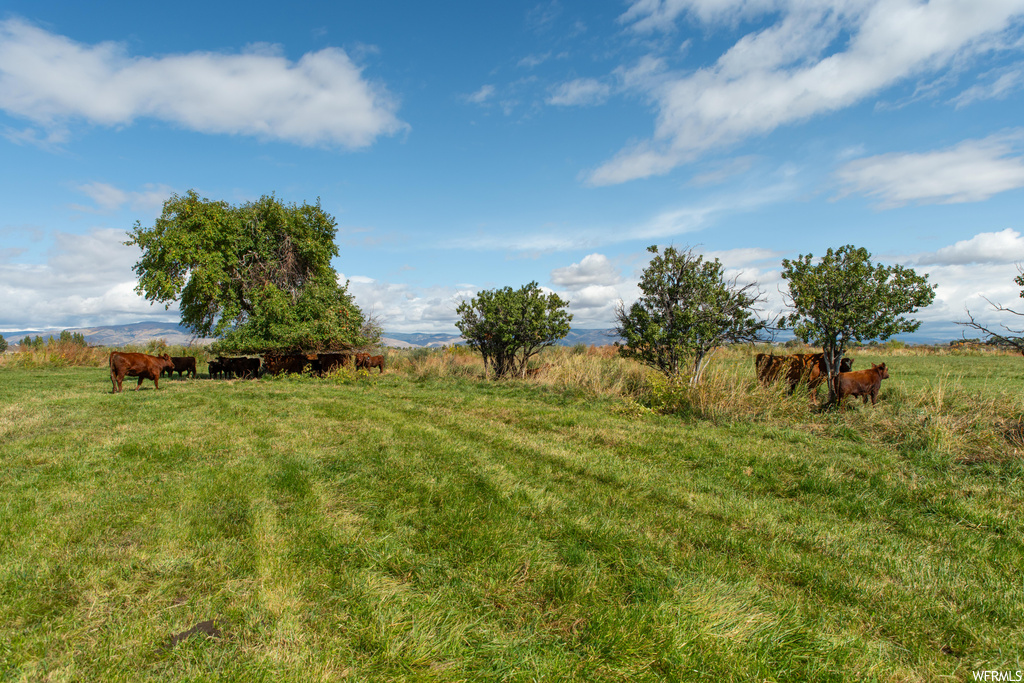 1978 W 7500 N Neola UT 84053 650,000
