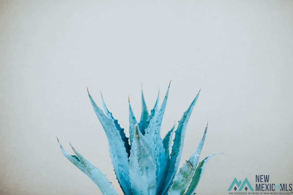 Photo #8
