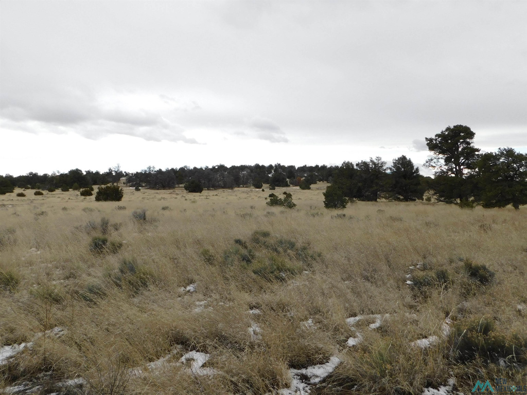 Photo #2
