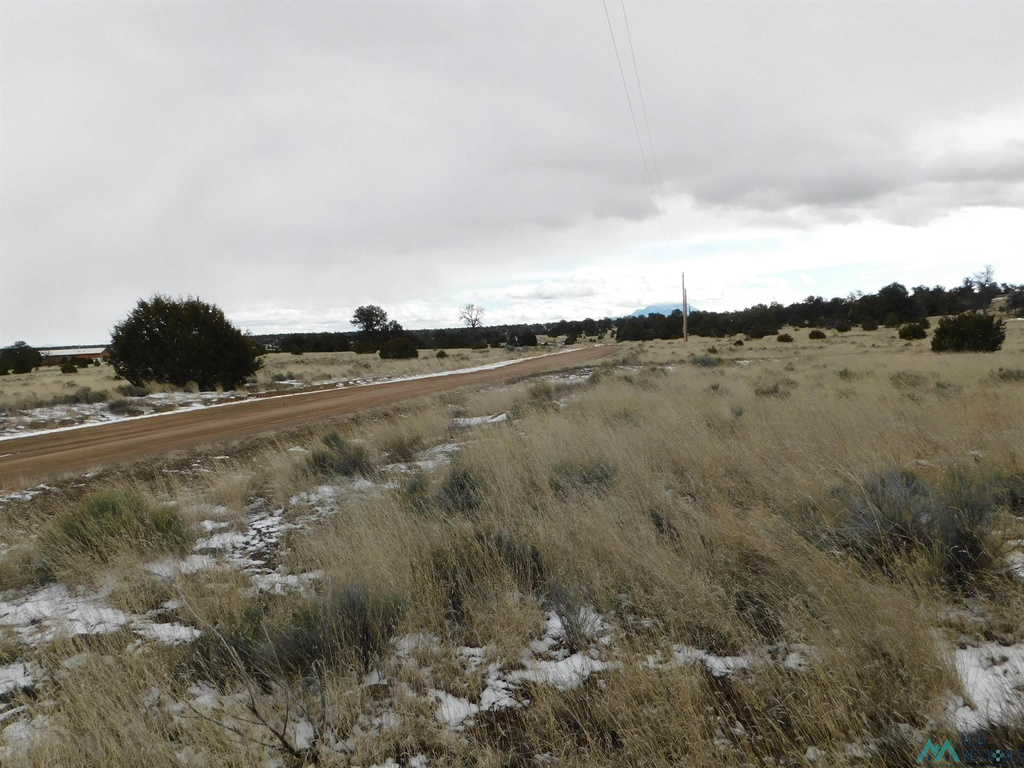 Photo #4