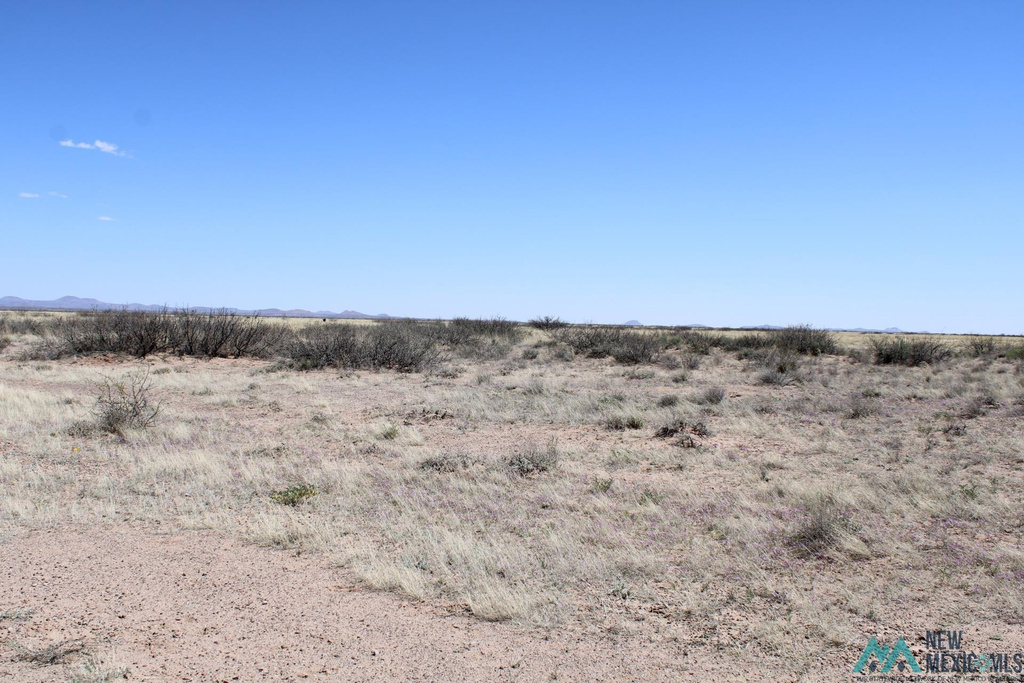 Photo #4