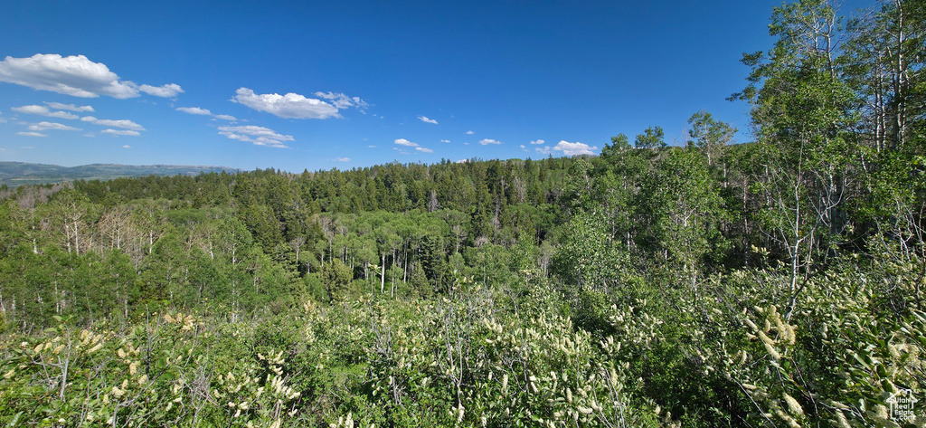 View of wooded area