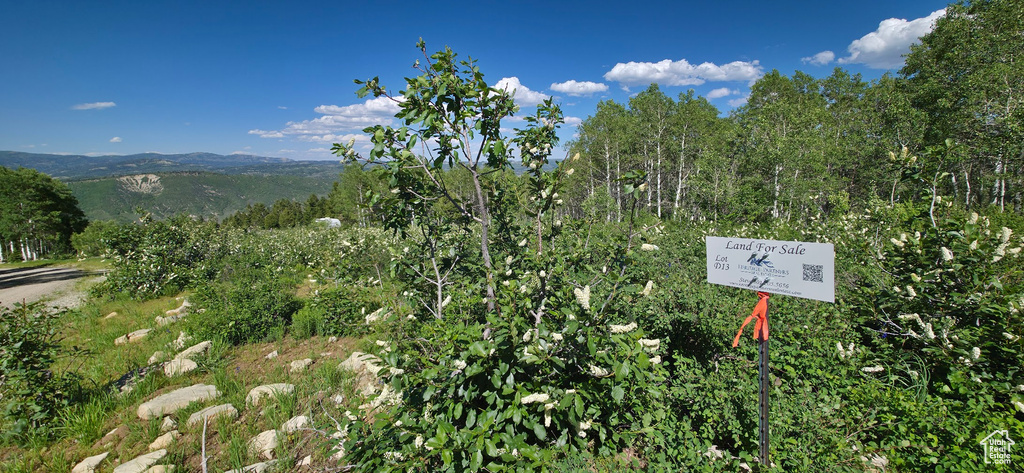 Exterior view of a forest and mountains