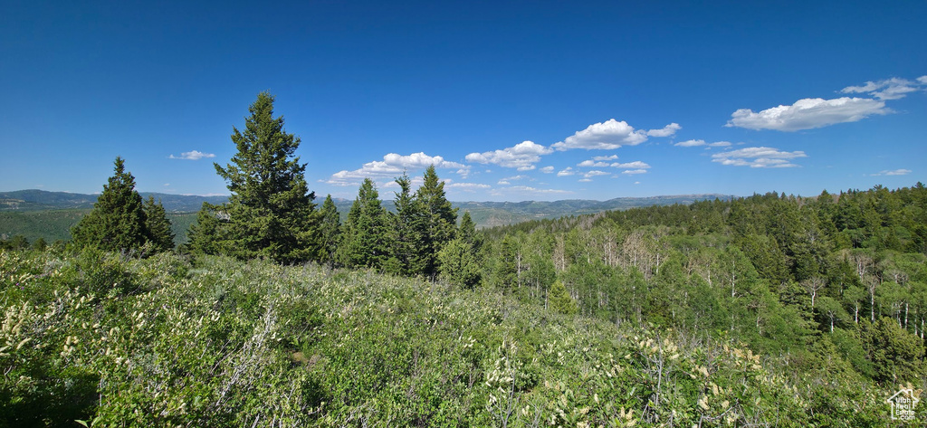 View of mountain backdrop with a heavily wooded area