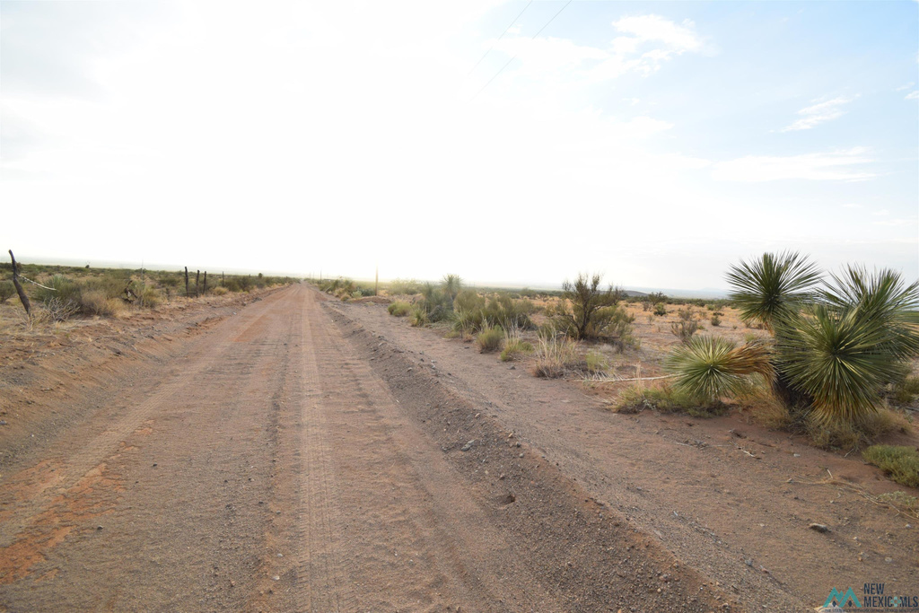 Photo #13